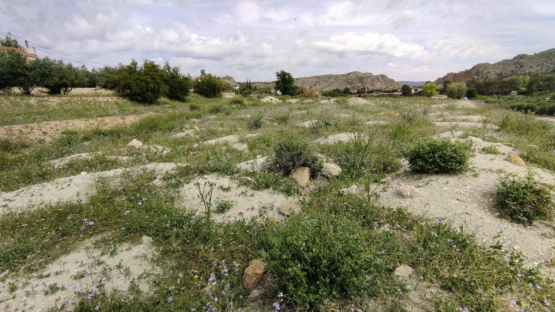 Parcela en venta - Calasparra