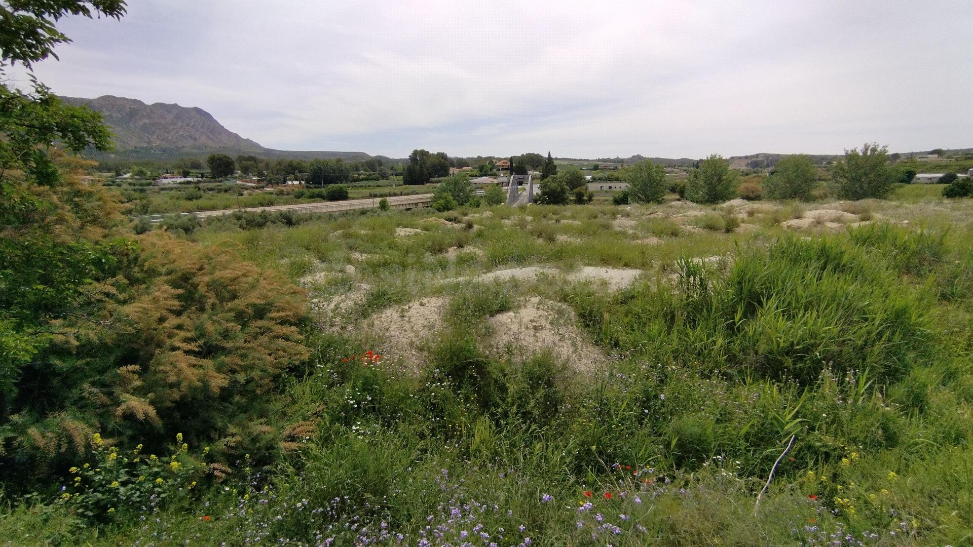 Parcela en venta - Calasparra - foto 2
