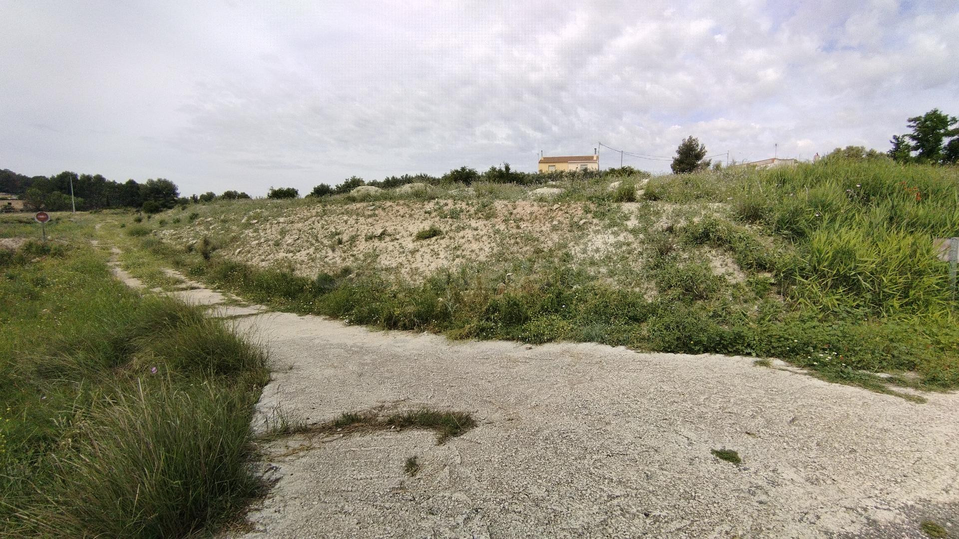 Parcela en venta - Calasparra - foto 4