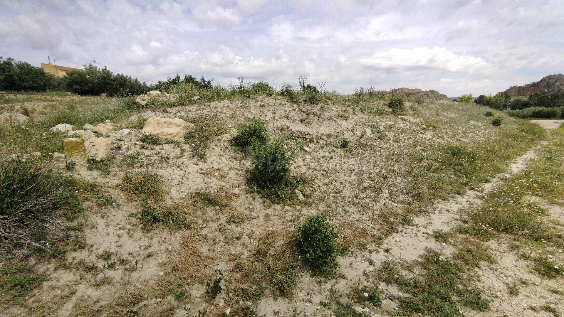 Parcela en venta - Calasparra - foto 5