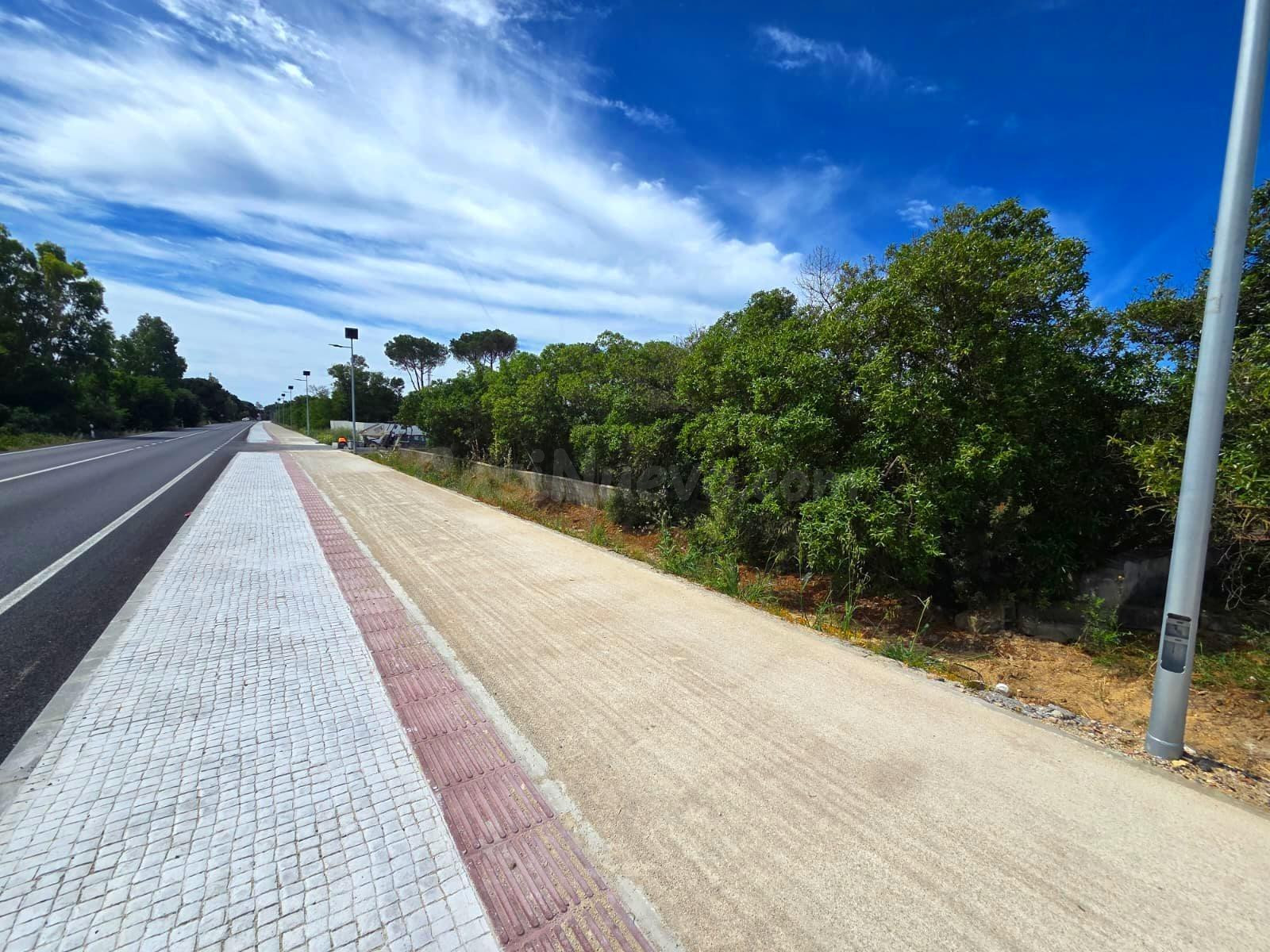 PARCELA EN VENTA EN CAMPANO - 2.625 M2 SEGREGADA A PIE DE CARRETERA