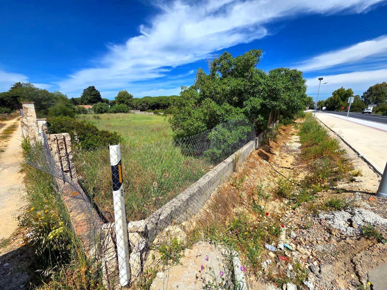 PARCELA EN VENTA EN CAMPANO - 2.625 M2 SEGREGADA A PIE DE CARRETERA - foto 2