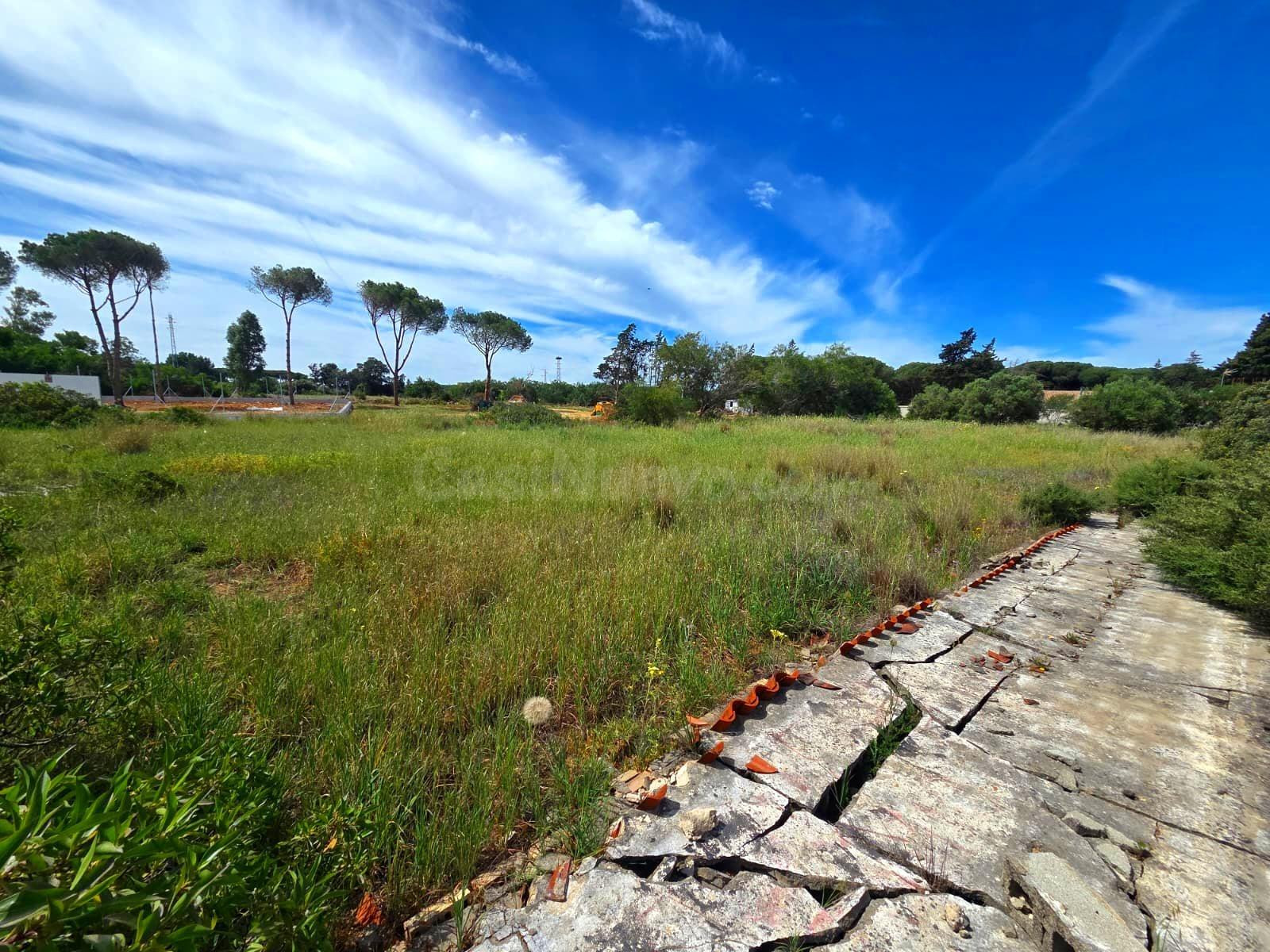 PARCELA EN VENTA EN CAMPANO - 2.625 M2 SEGREGADA A PIE DE CARRETERA - foto 3