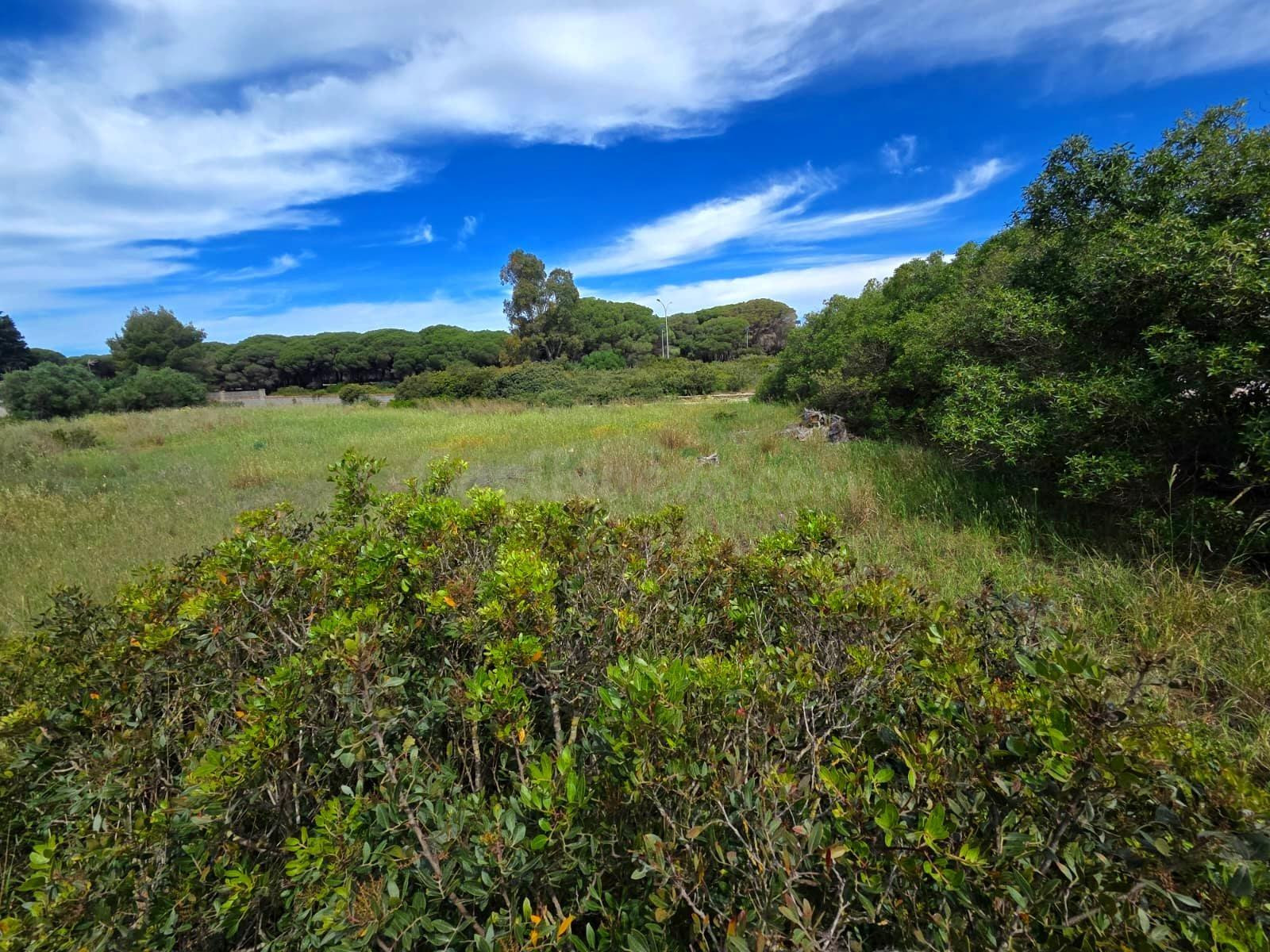 PARCELA EN VENTA EN CAMPANO - 2.625 M2 SEGREGADA A PIE DE CARRETERA - foto 4