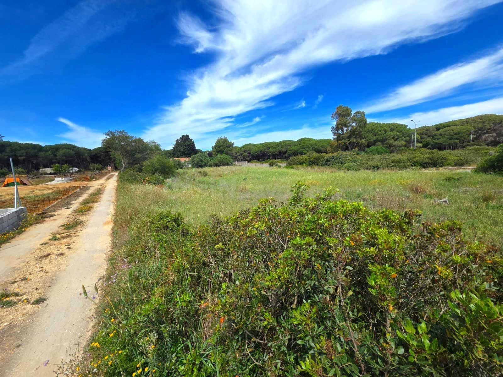 PARCELA EN VENTA EN CAMPANO - 2.625 M2 SEGREGADA A PIE DE CARRETERA - foto 5