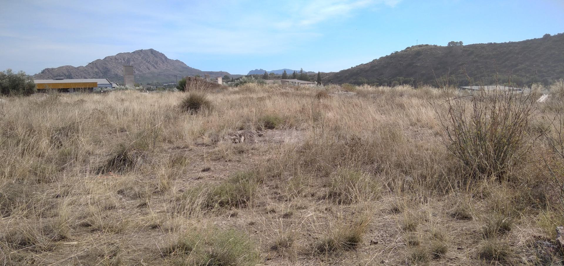 Parcela en venta - Calasparra - foto 2