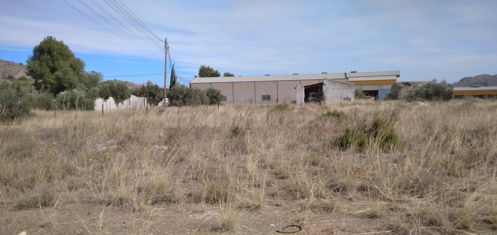 Parcela en venta - Calasparra - foto 3
