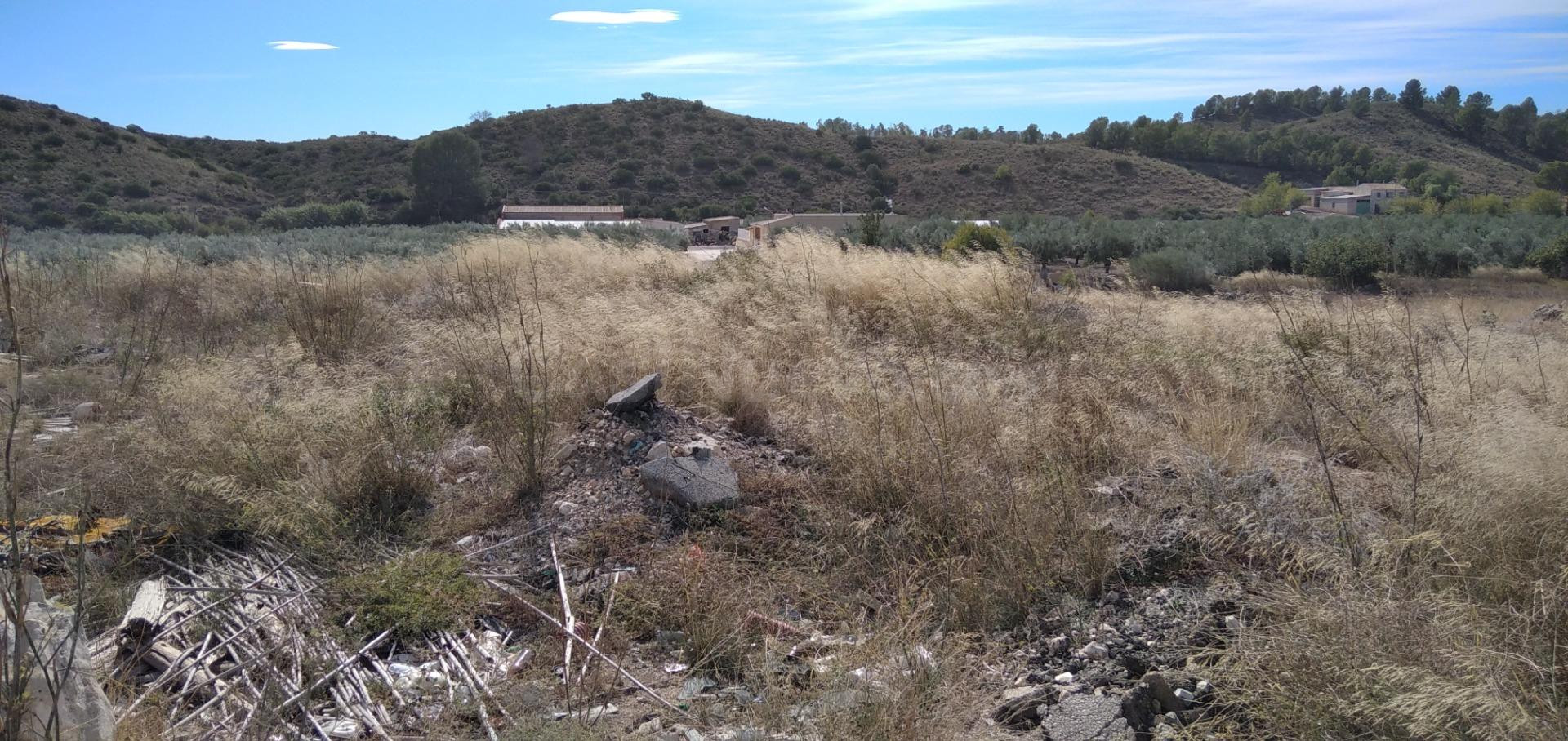 Parcela en venta - Calasparra - foto 4