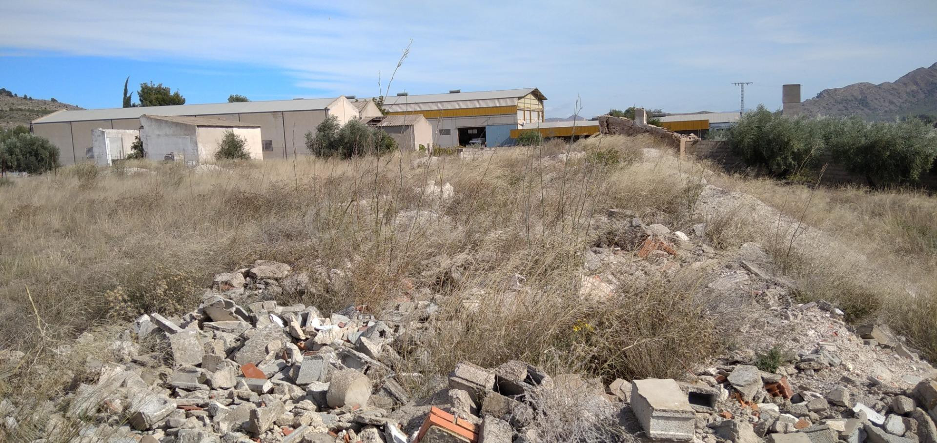 Parcela en venta - Calasparra - foto 5