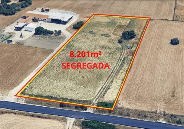 PARCELA SEGREGADA ASFALTADA HASTA LA PUERTA EN PAGO DEL HUMO CON 8.201M2 DE PARCELA