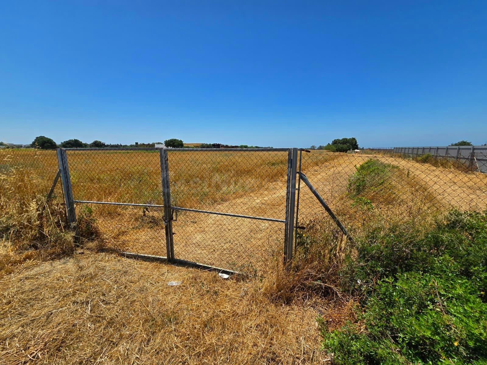 PARCELA SEGREGADA ASFALTADA HASTA LA PUERTA EN PAGO DEL HUMO CON 8.201M2 DE PARCELA - foto 2