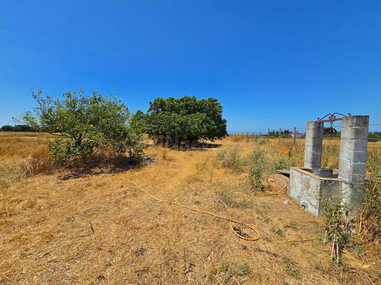 PARCELA SEGREGADA ASFALTADA HASTA LA PUERTA EN PAGO DEL HUMO CON 8.201M2 DE PARCELA - foto 3