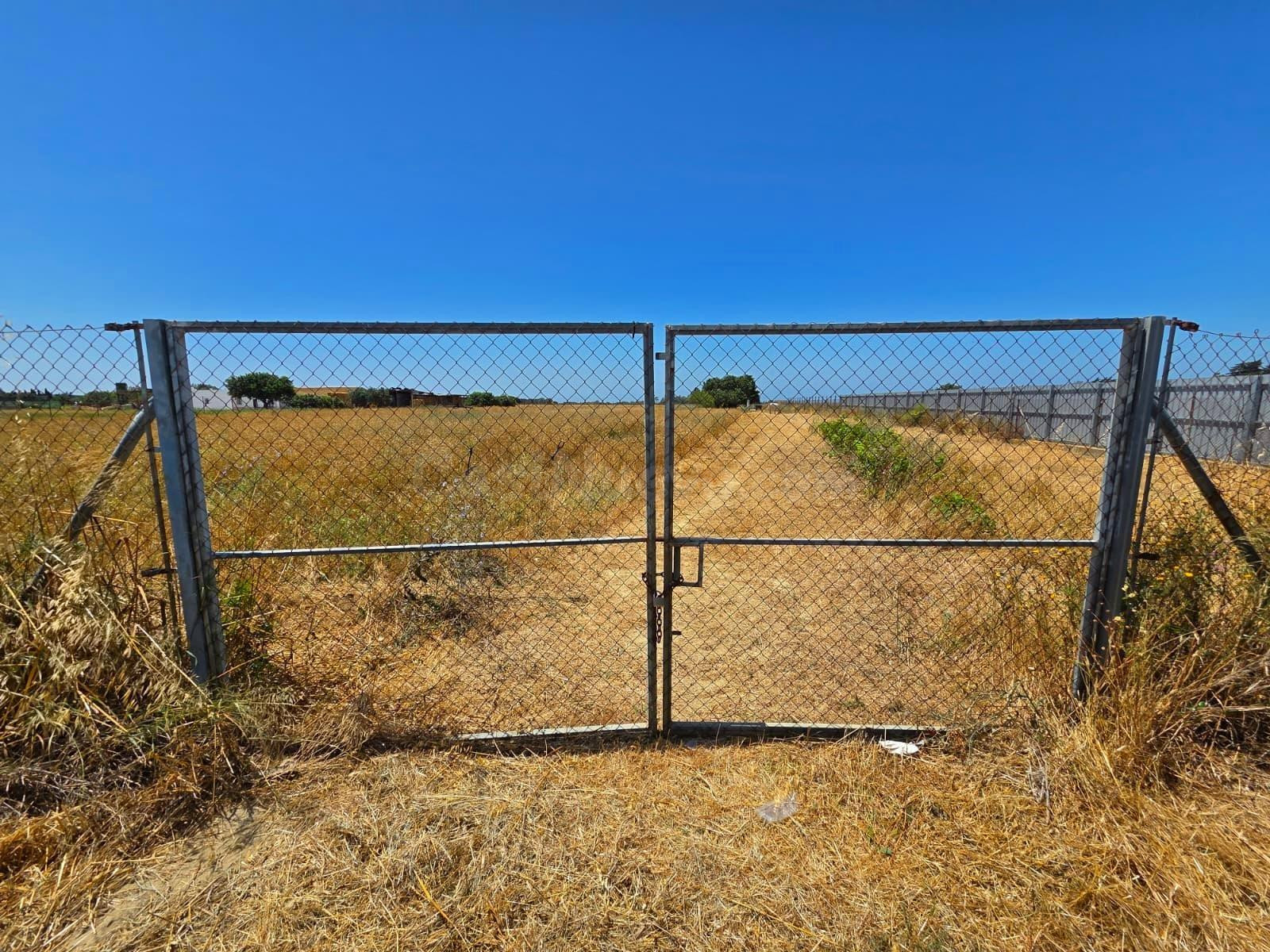 PARCELA SEGREGADA ASFALTADA HASTA LA PUERTA EN PAGO DEL HUMO CON 8.201M2 DE PARCELA - foto 4