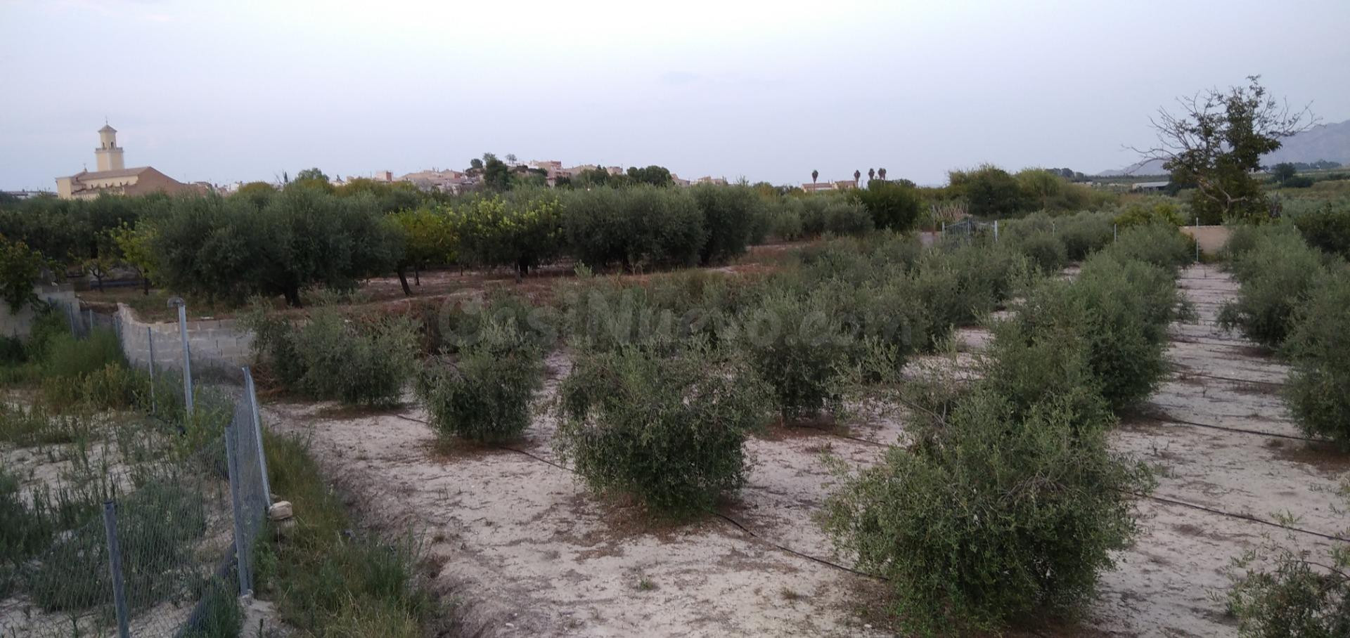 Parcela en venta - Valentin - foto 2