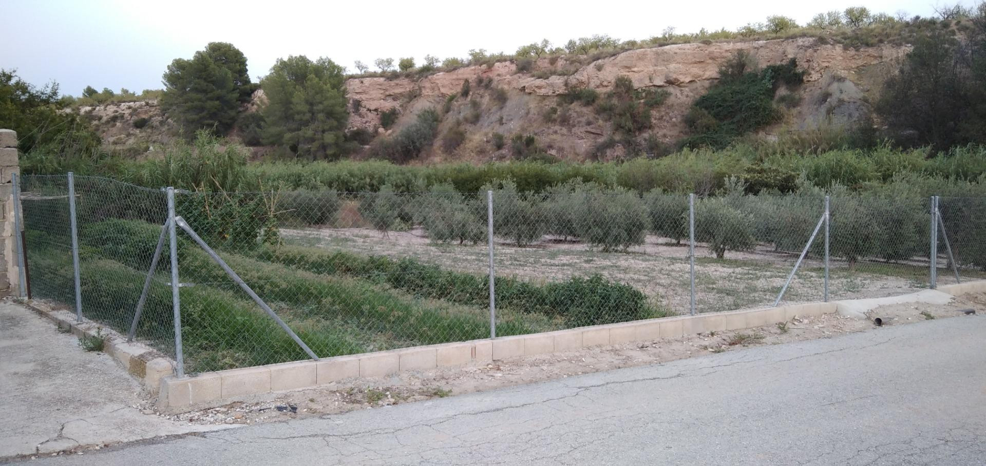 Parcela en venta - Valentin - foto 3