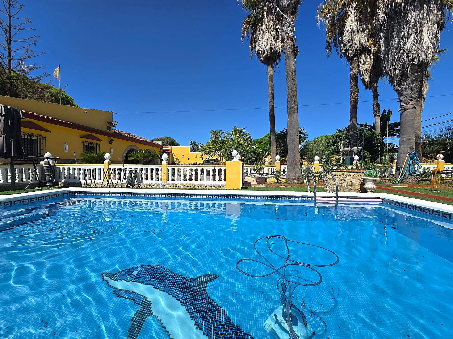 EXCELENTE OPORTUNIDAD 2X1  ¡ESPACIOSO CHALET CON PISCINA EN PARCELA SEGREGADA SITUADA EN EL SOTILLO! - foto 4