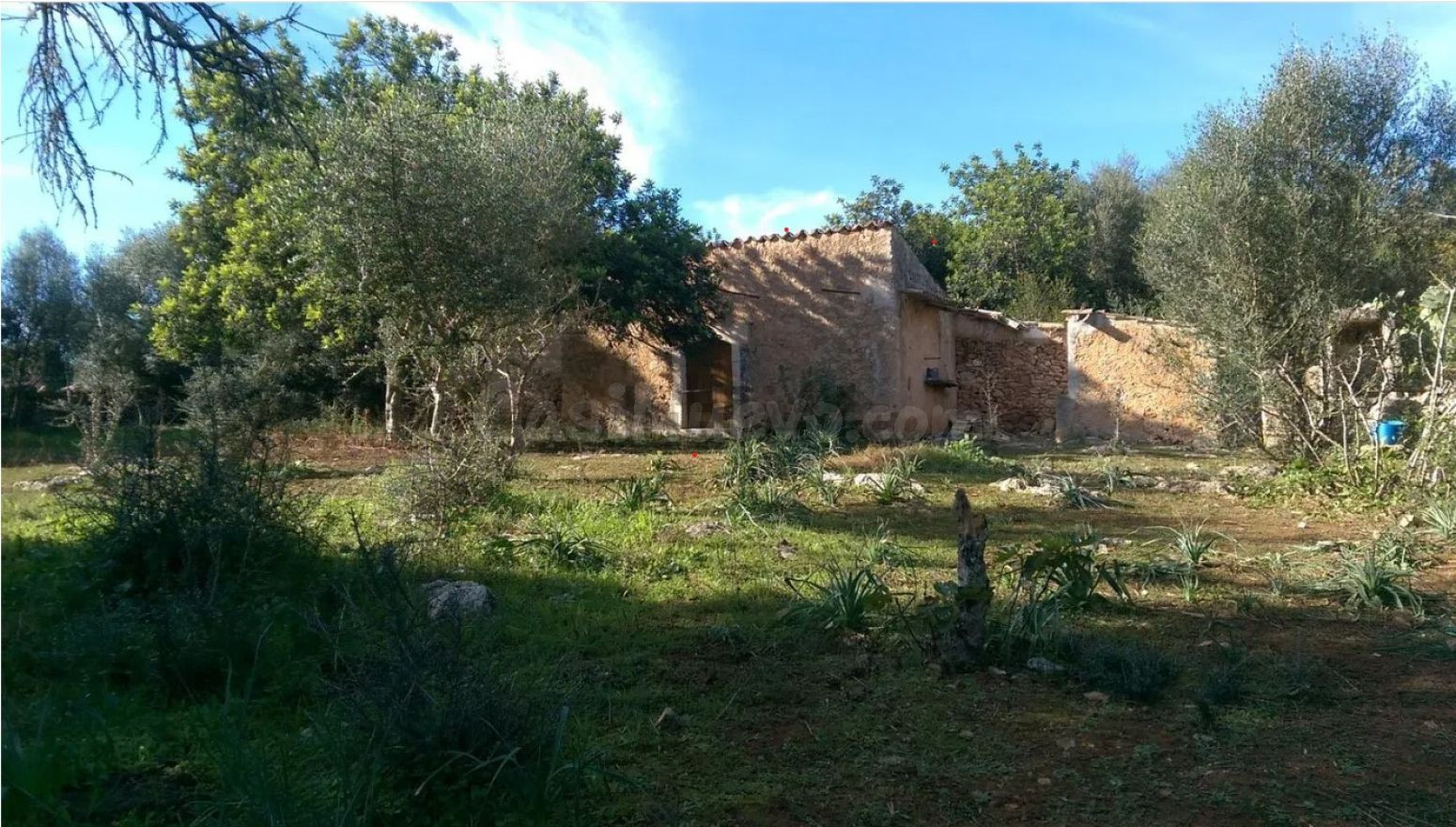 Finca Rústica con caseta de aperos