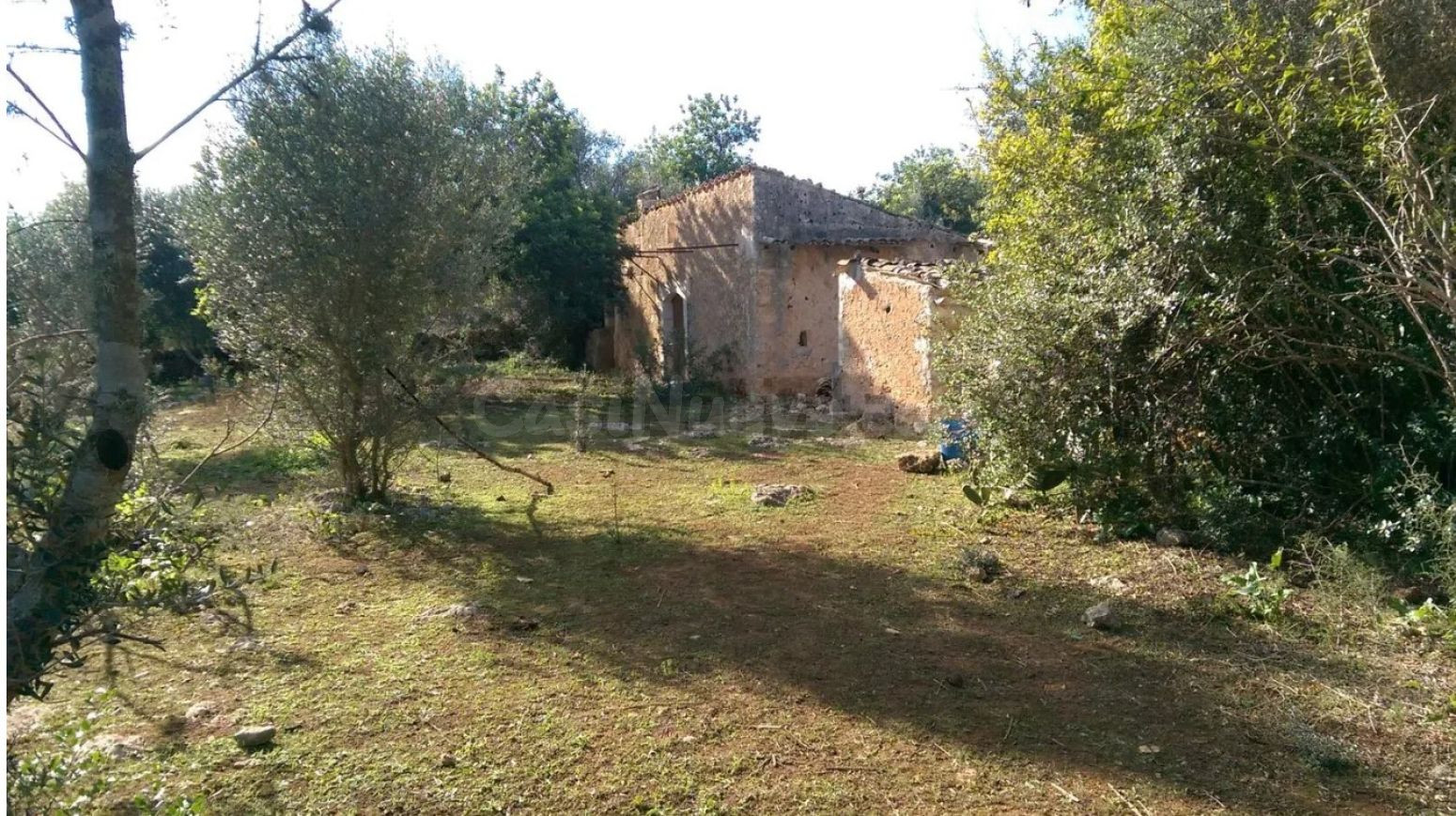 Finca Rústica con caseta de aperos - foto 3