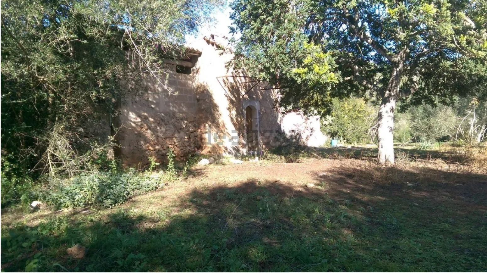 Finca Rústica con caseta de aperos - foto 4