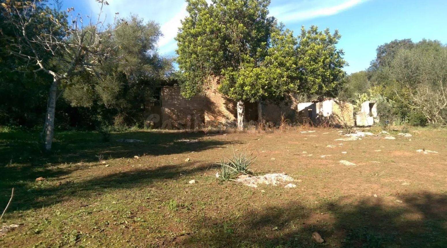 Finca Rústica con caseta de aperos - foto 5