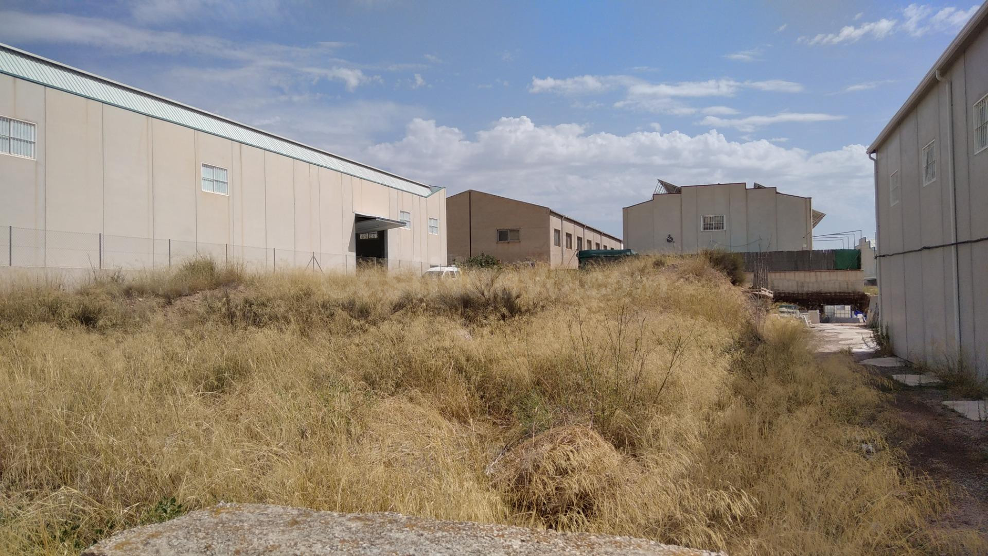 Terreno industrial 1520m² en venta - Calasparra - foto 2