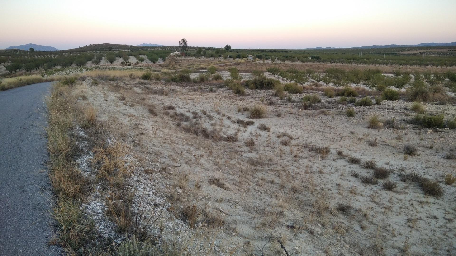 Parcela en venta - Calasparra