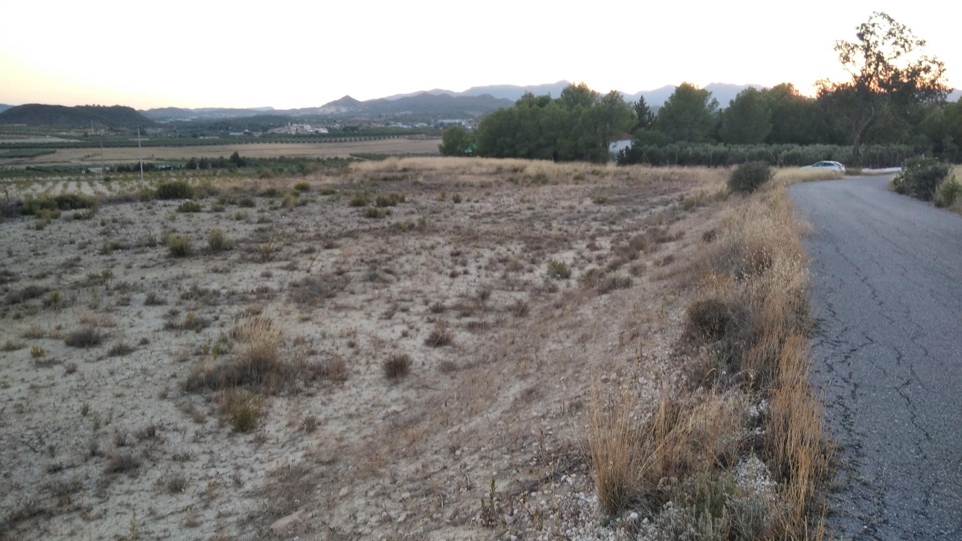 Parcela en venta - Calasparra - foto 2