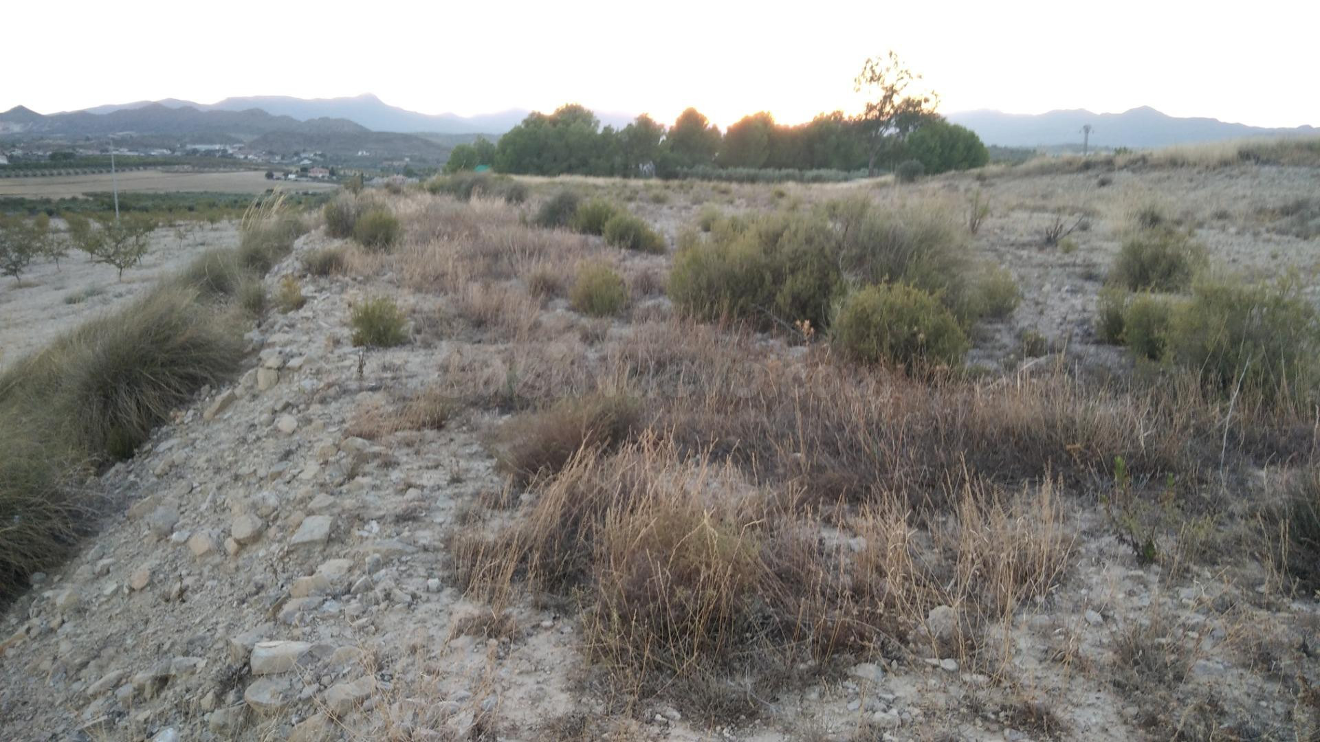 Parcela en venta - Calasparra - foto 3