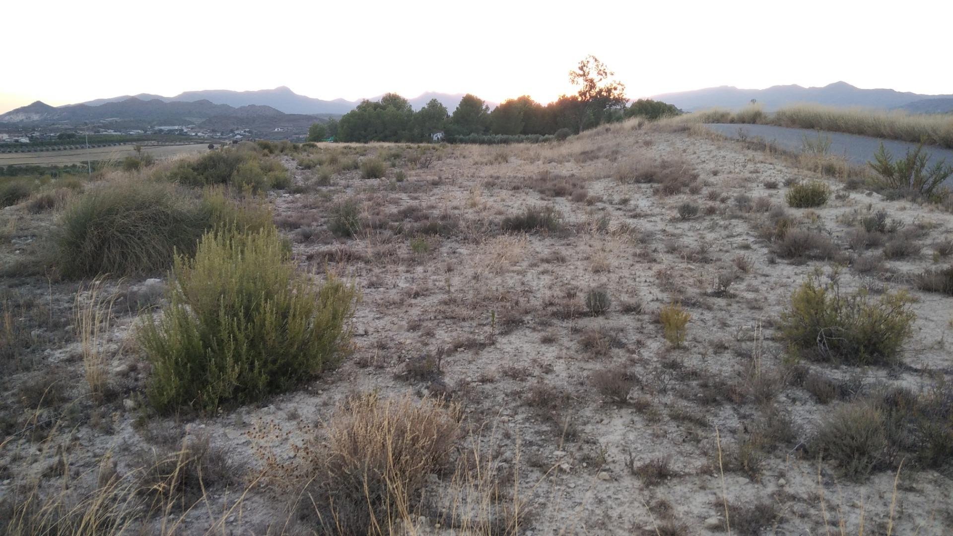 Parcela en venta - Calasparra - foto 5