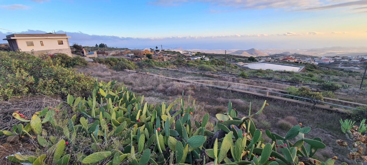 TINERCASA tiene disponible para ti, esta magnífica finca rústica en San Miguel de Abona