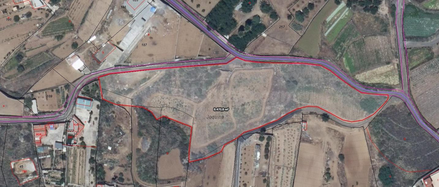 ¡OPORTUNIDAD EN ARAFO! FINCA RÚSTICA DE 6.635 M2 CON AGUA, R - foto 2