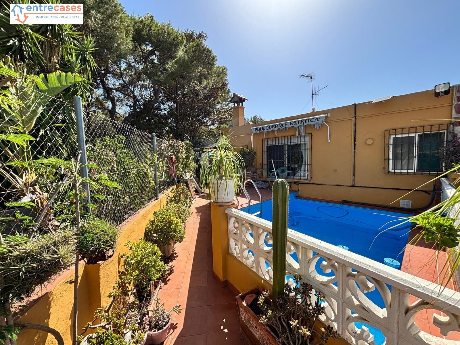 ¡¡CHALET RURAL EN MONTE CARUANA. (SAGUNTO)!! - foto 2