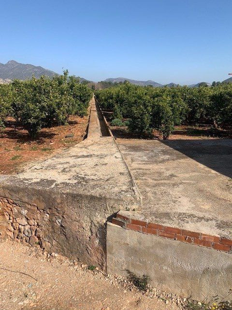 Terreno rural 16114m² en venta - Marxuquera
