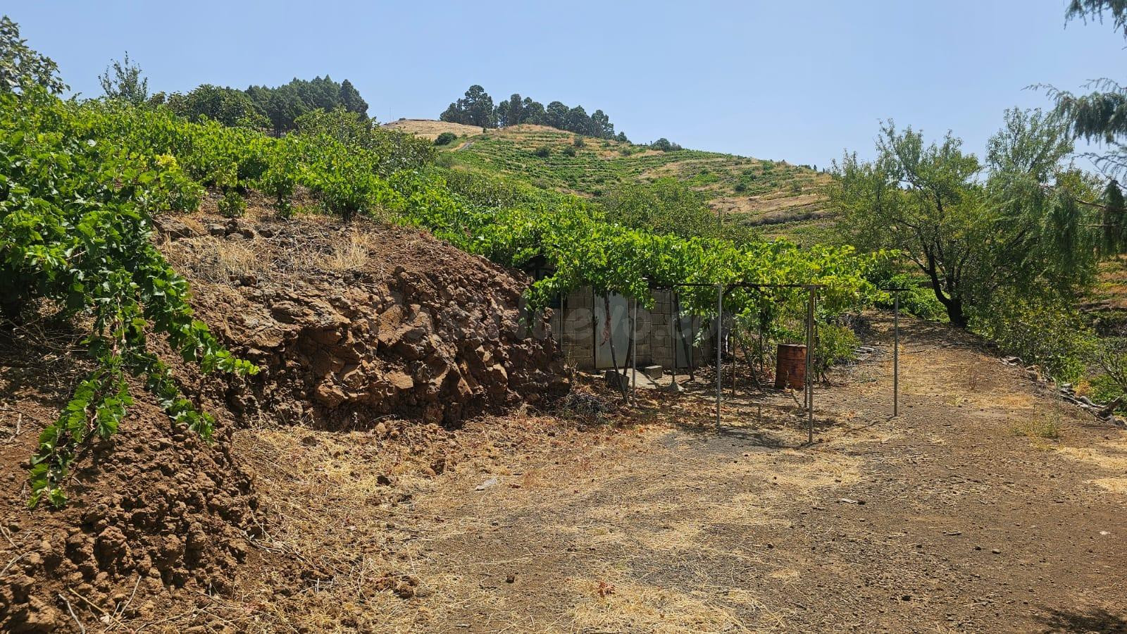 TINERCASA TIENE DISPONIBLE EN PUNTA GORDA, MAGNÍFICA FINCA R - foto 4