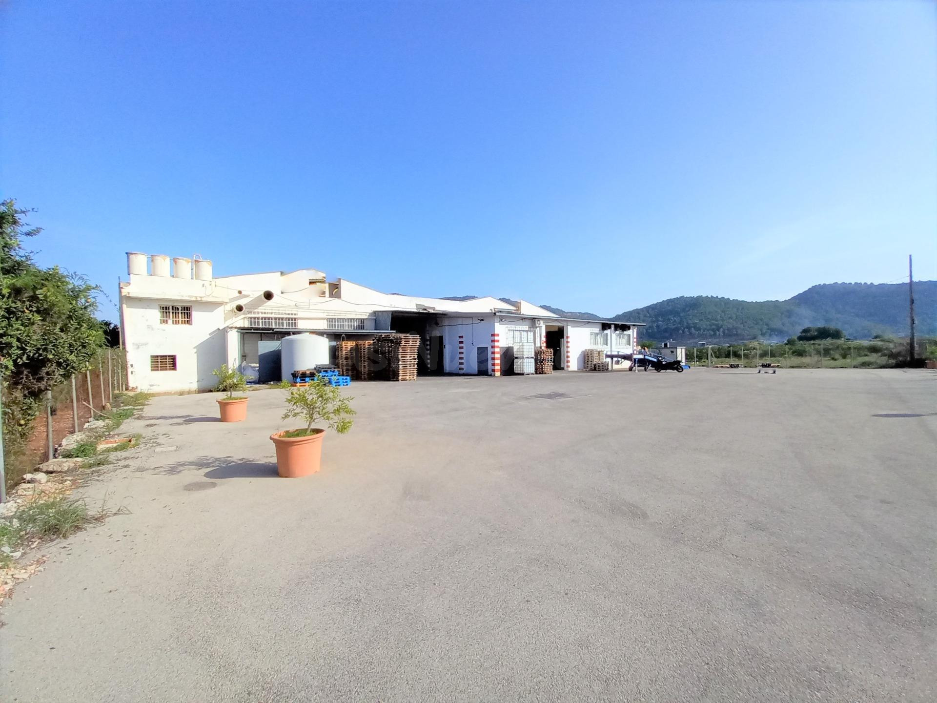 NAVE INDUSTRIAL  PARCELA 5.700 m2 y NAVE DE 2.500 m2 - foto 3