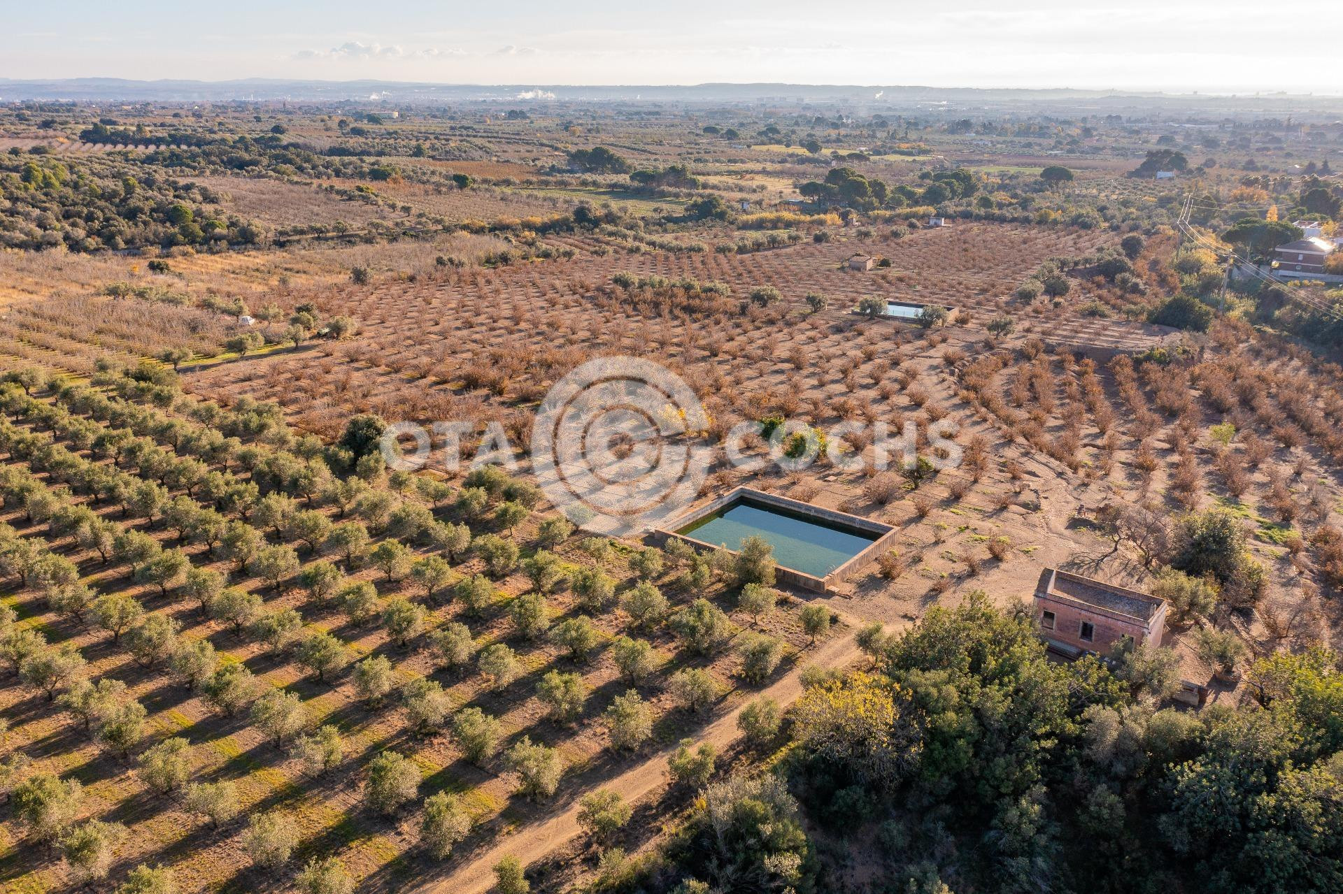 FINCAS RUSTICAS EN CASTELLVELL DEL CAMP