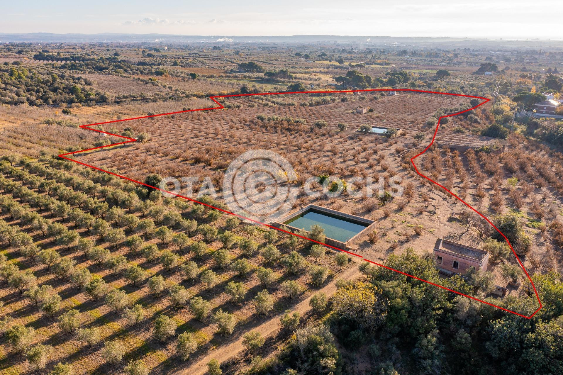 FINCAS RUSTICAS EN CASTELLVELL DEL CAMP - foto 2