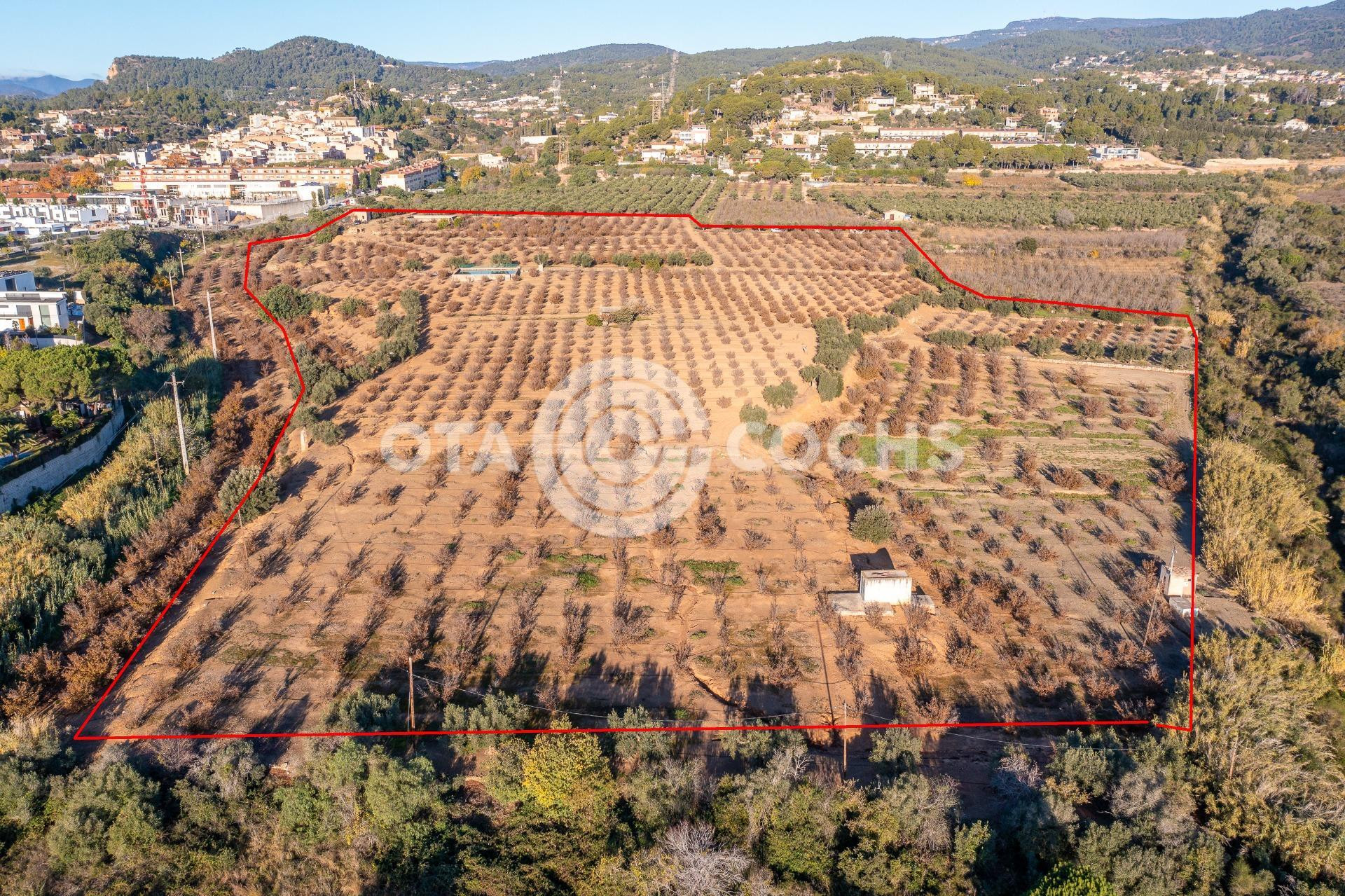 FINCAS RUSTICAS EN CASTELLVELL DEL CAMP - foto 4