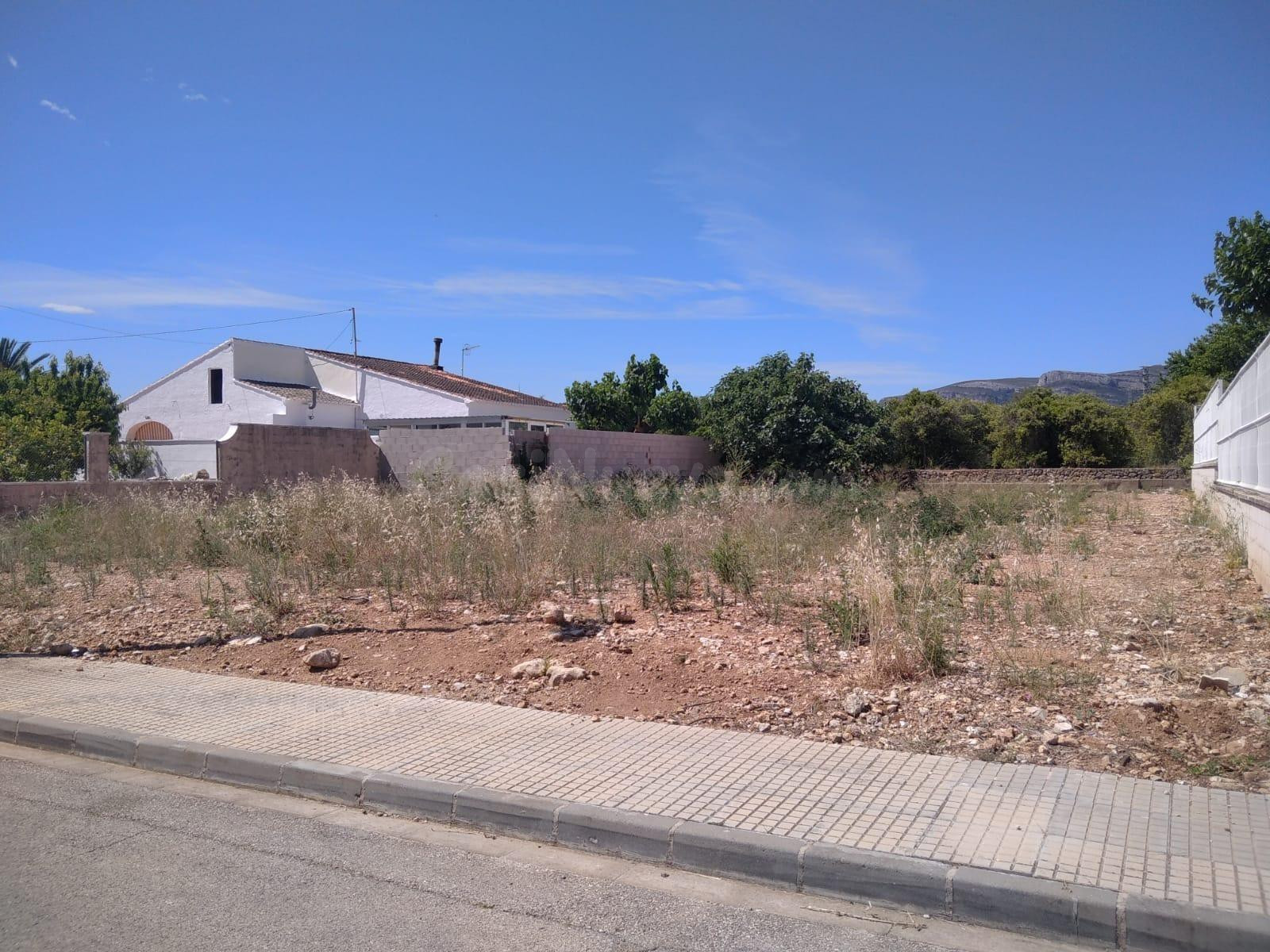 Bonito solar a 5 minutos de Gandia, para construir la casa d - foto 4