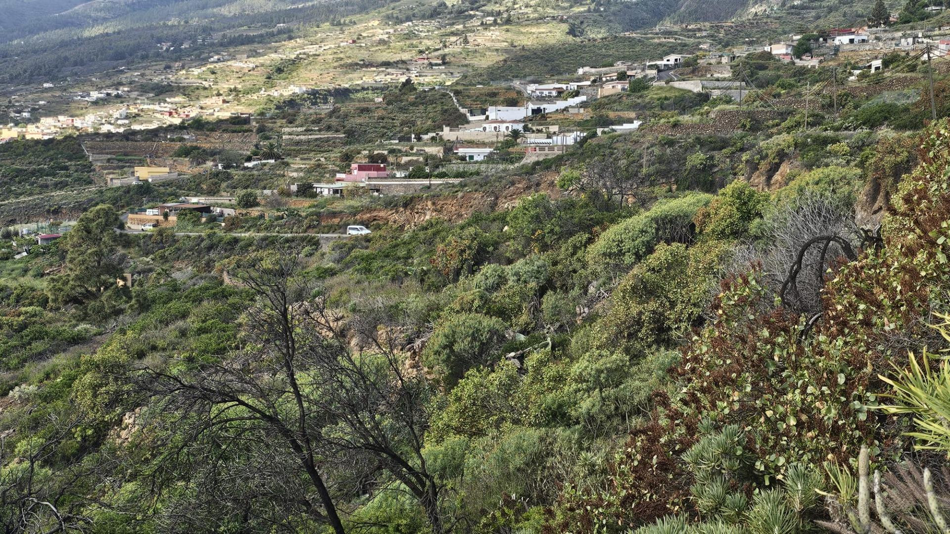 TINERCASA TIENE DISPONIBLE FINCA RÚSTICA EN ARAFO – NATURALE - foto 5
