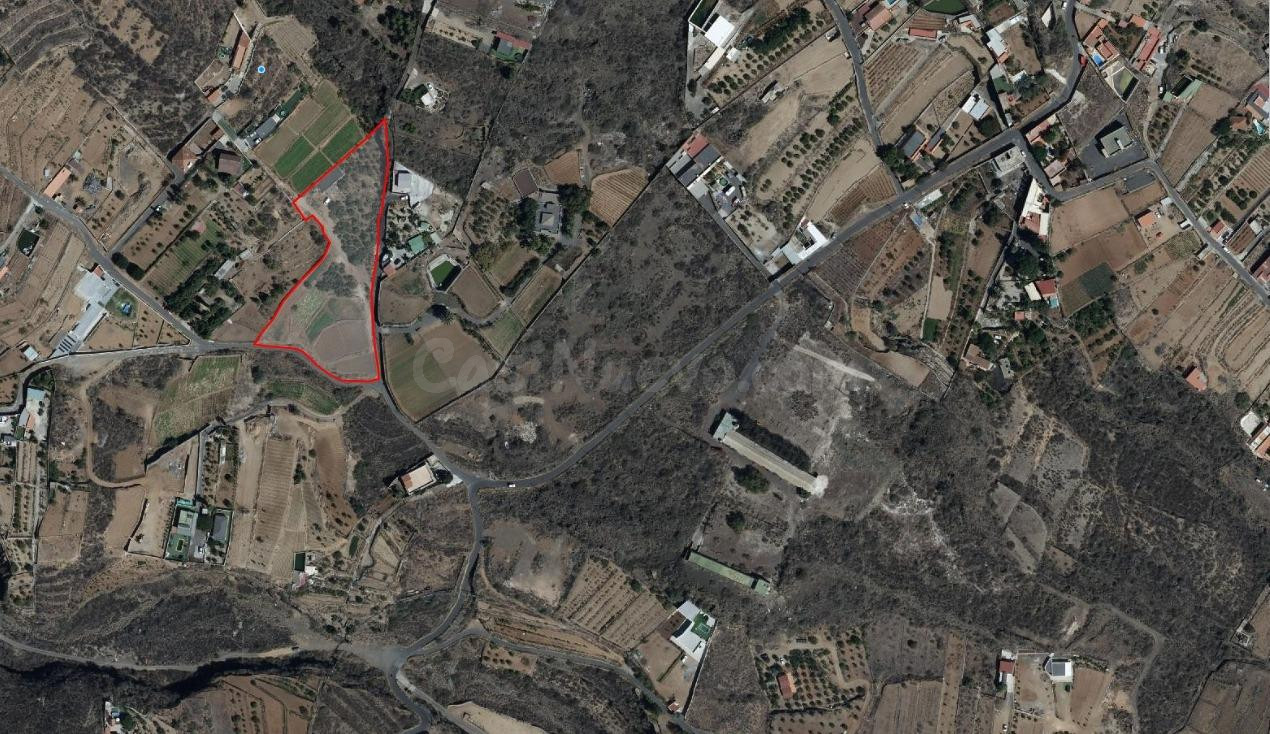 TINERCASA TE OFRECE FINCA RÚSTICA CON AGUACATES EN PRODUCCIÓ - foto 4