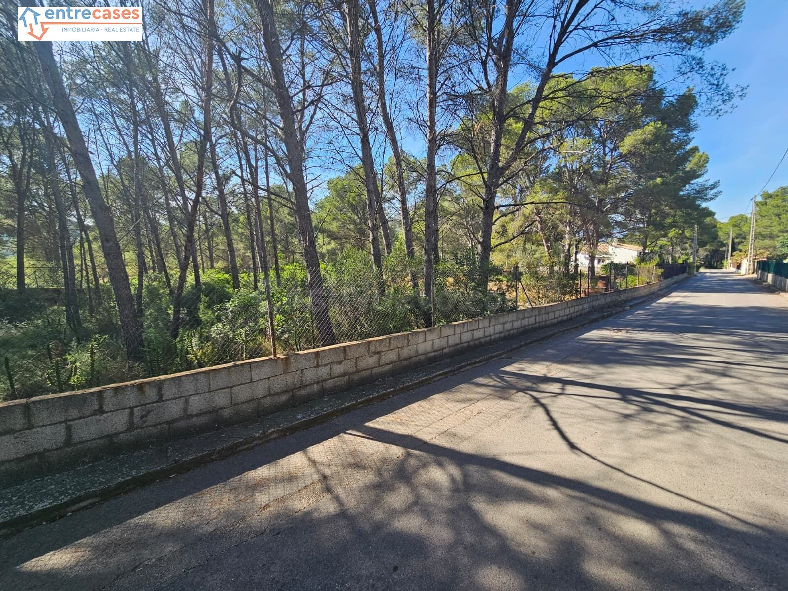 TERRENO URBANO EN GILET. 2.121 M2 - foto 4