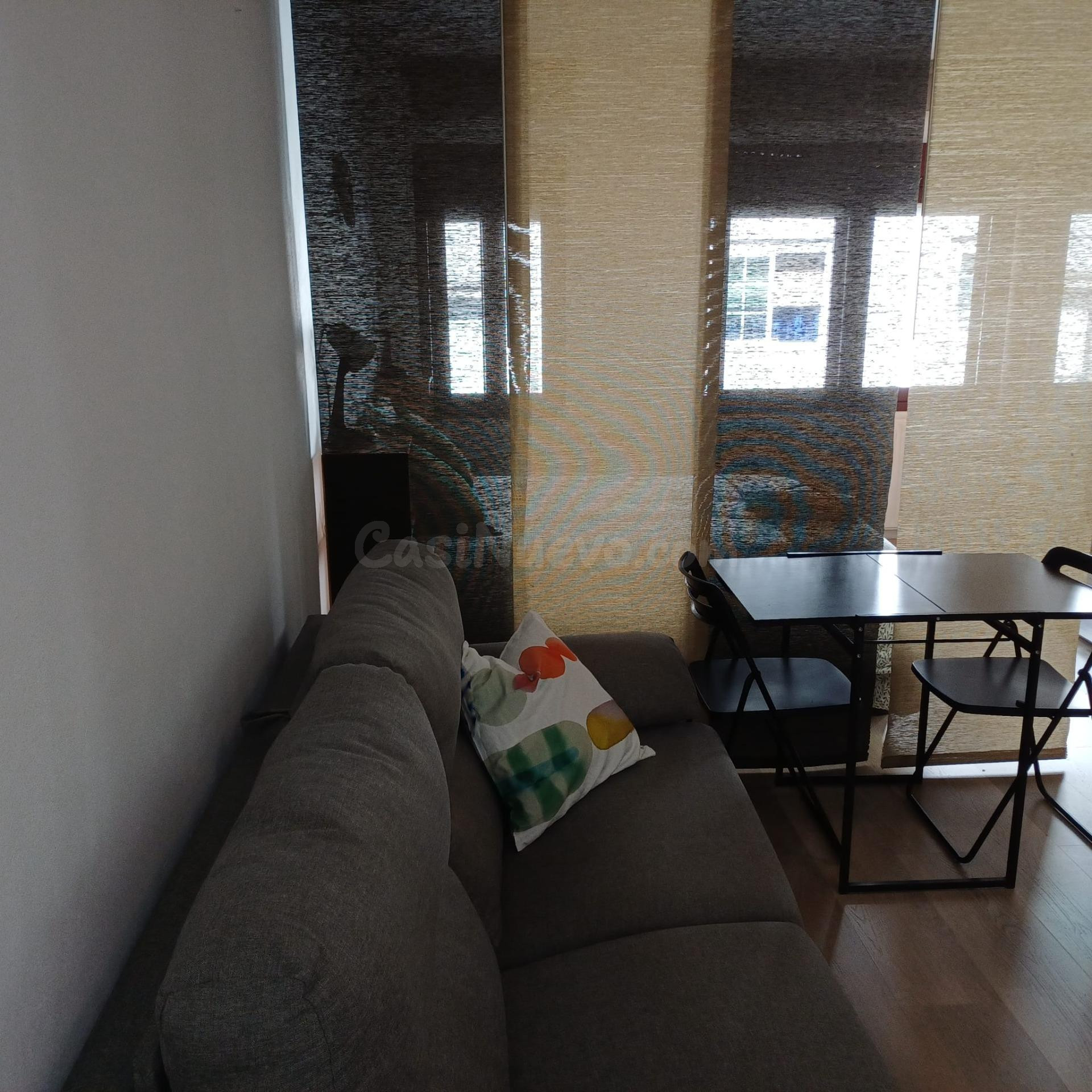 ESTUDIO AMUEBLADO EN RUA DOS CASTIÑEIROS - ZONA GALERAS PELA - foto 3