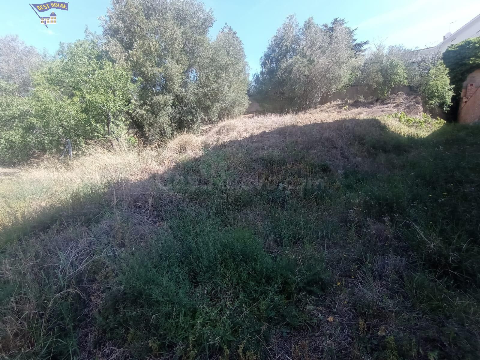 TERRENO URBANO PARA EDIFICAR A SOLO 3 MINUTOS DEL PUEBLO. ZO - foto 3