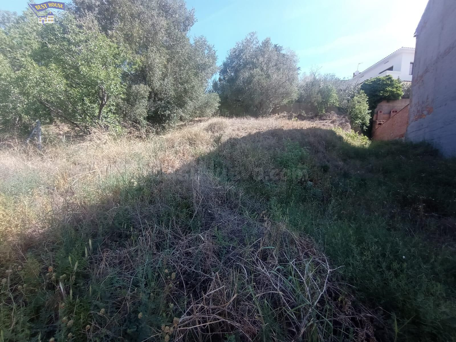 TERRENO URBANO PARA EDIFICAR A SOLO 3 MINUTOS DEL PUEBLO. ZO - foto 5