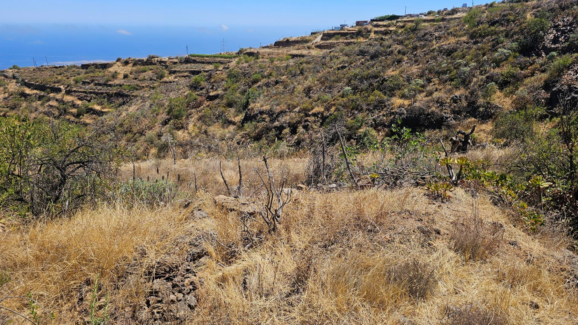 Oportunidad Única: Terreno Rural en La Zarza, Fasnia por sol