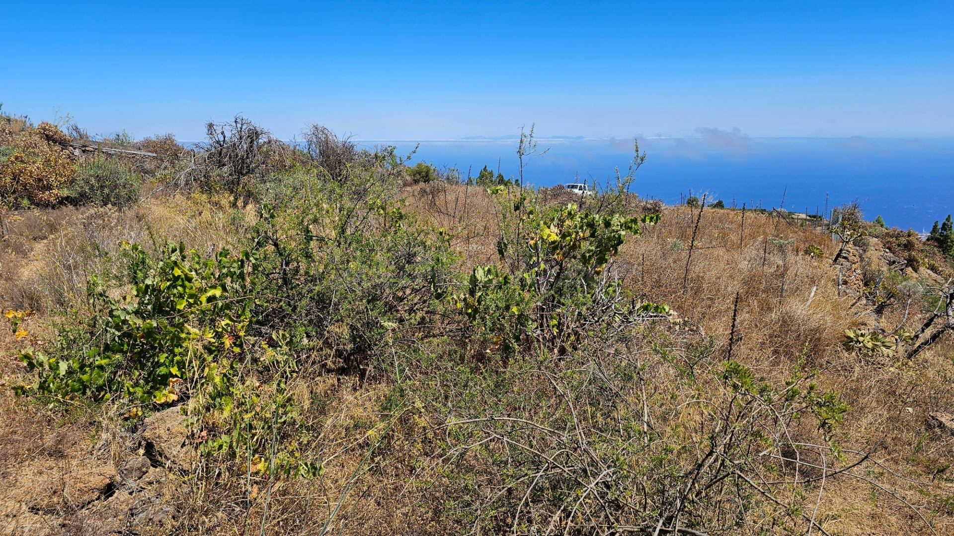 Oportunidad Única: Terreno Rural en La Zarza, Fasnia por sol - foto 2