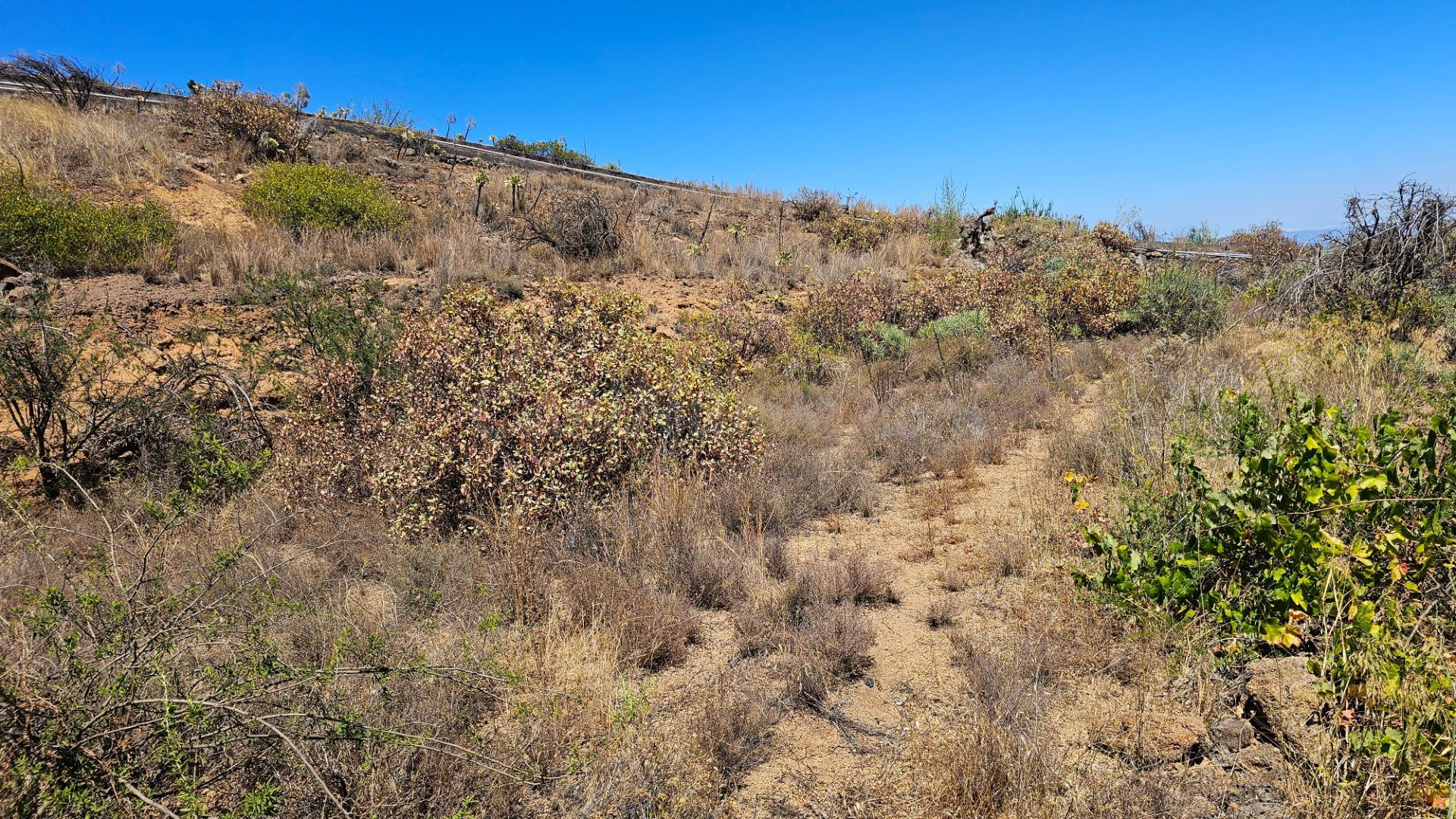 Oportunidad Única: Terreno Rural en La Zarza, Fasnia por sol - foto 3