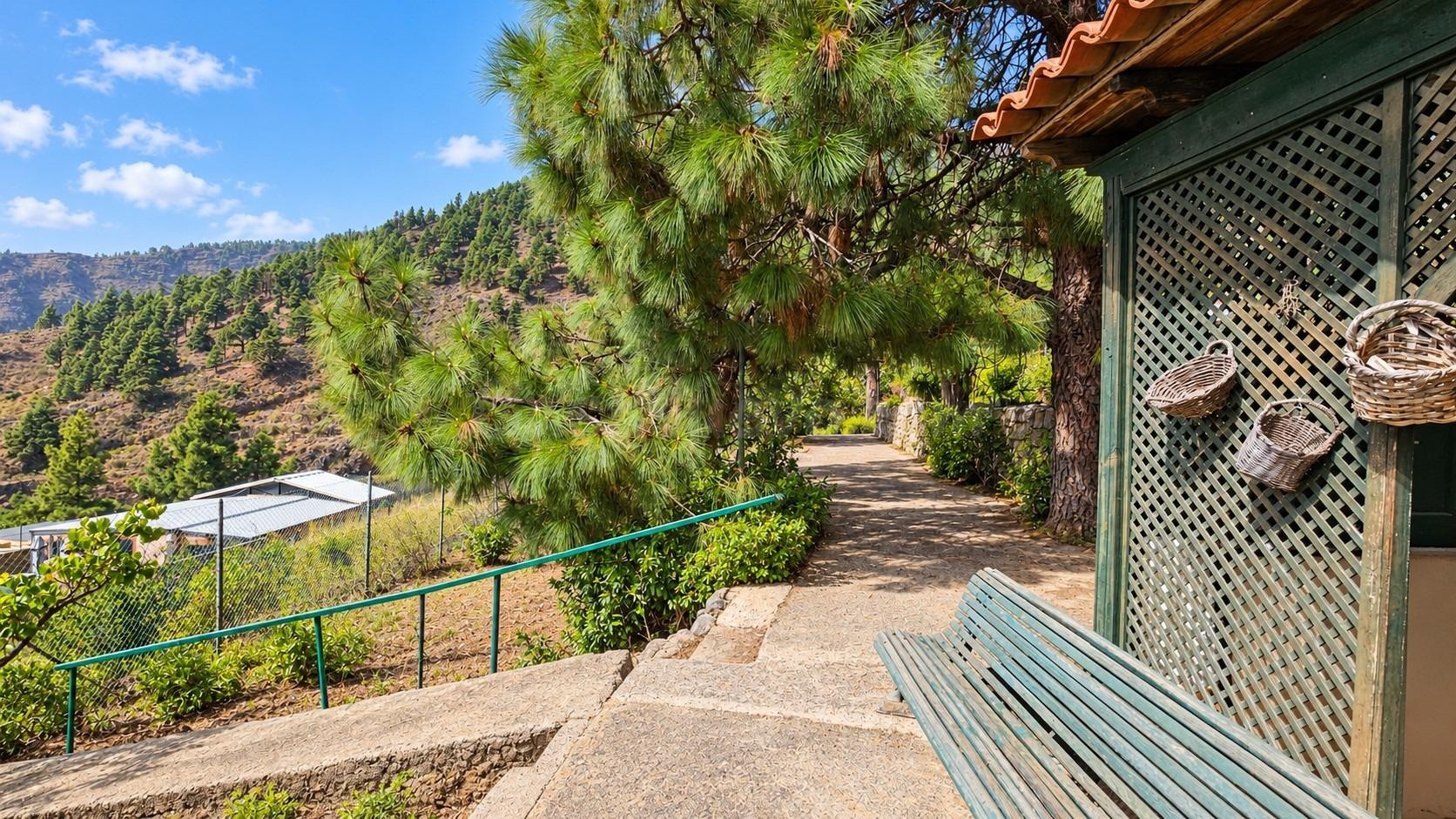 FINCA CON ENCANTO Y VIVIENDA EN IGUESTE DE CANDELARIA: NATUR - foto 2