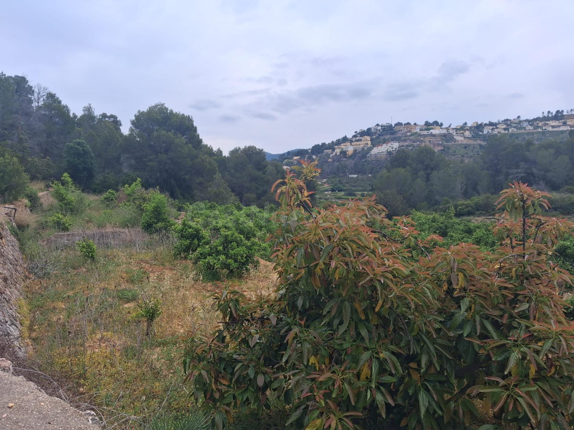 Terreno rural en venta - Comunidad valenciana